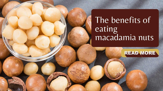 The Benefits of Eating Macadamia Nuts - Sindhi Dry Fruits