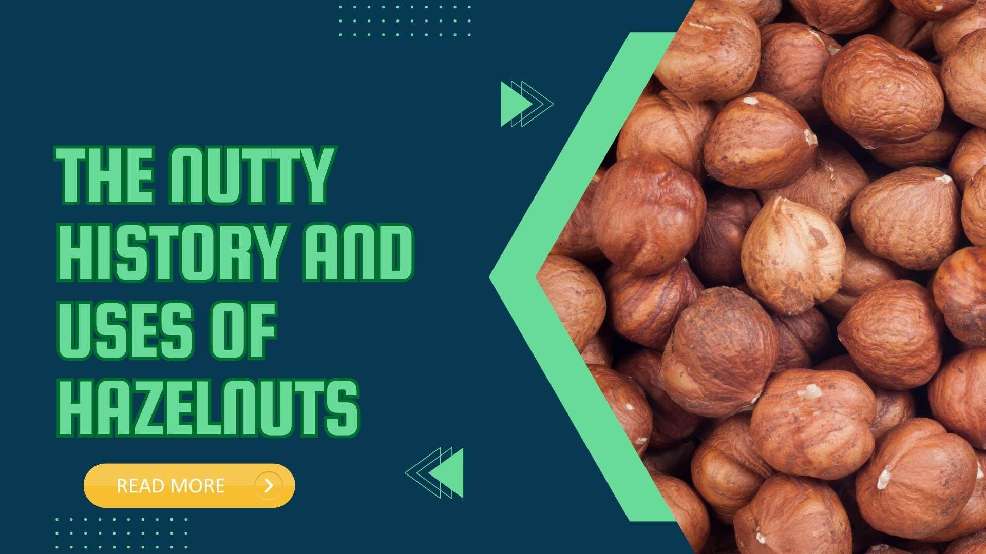 The Nutty History and Uses of Hazelnuts Sindhi Dry Fruits