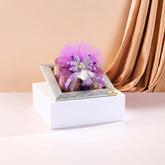 Premium Dry Fruit Gift Box