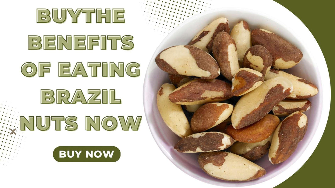 The Benefits of Eating Brazil Nuts - Sindhi Dry Fruits