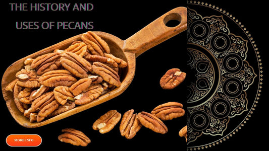 The History And Uses of Pecans - Sindhi Dry Fruits