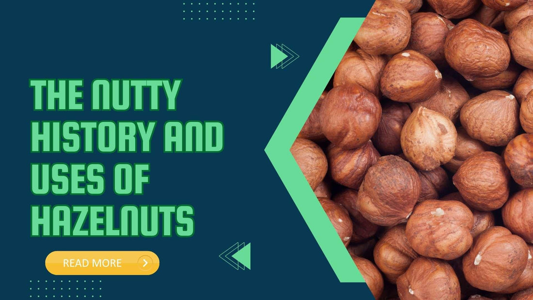 The Nutty History and Uses of Hazelnuts - Sindhi Dry Fruits