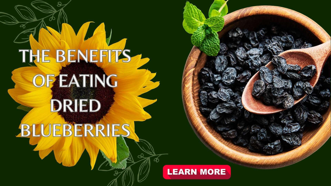 The benefits of eating dried blueberries - Sindhi Dry Fruits