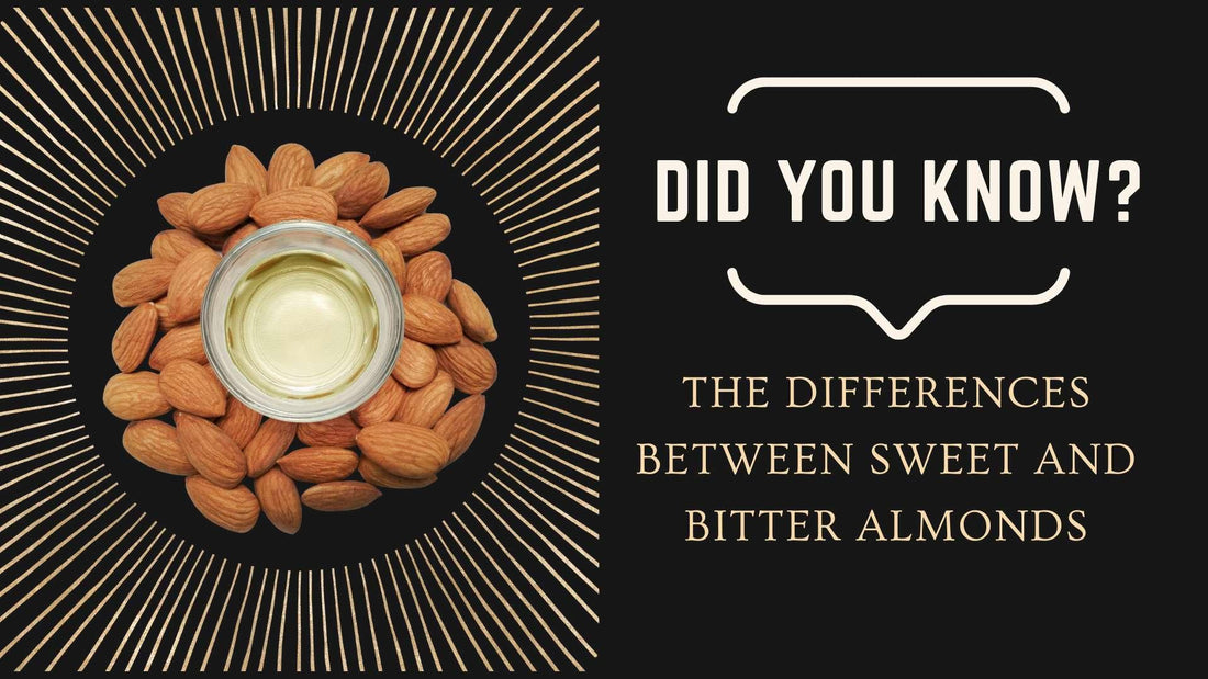 The differences between sweet and bitter almonds - Sindhi Dry Fruits
