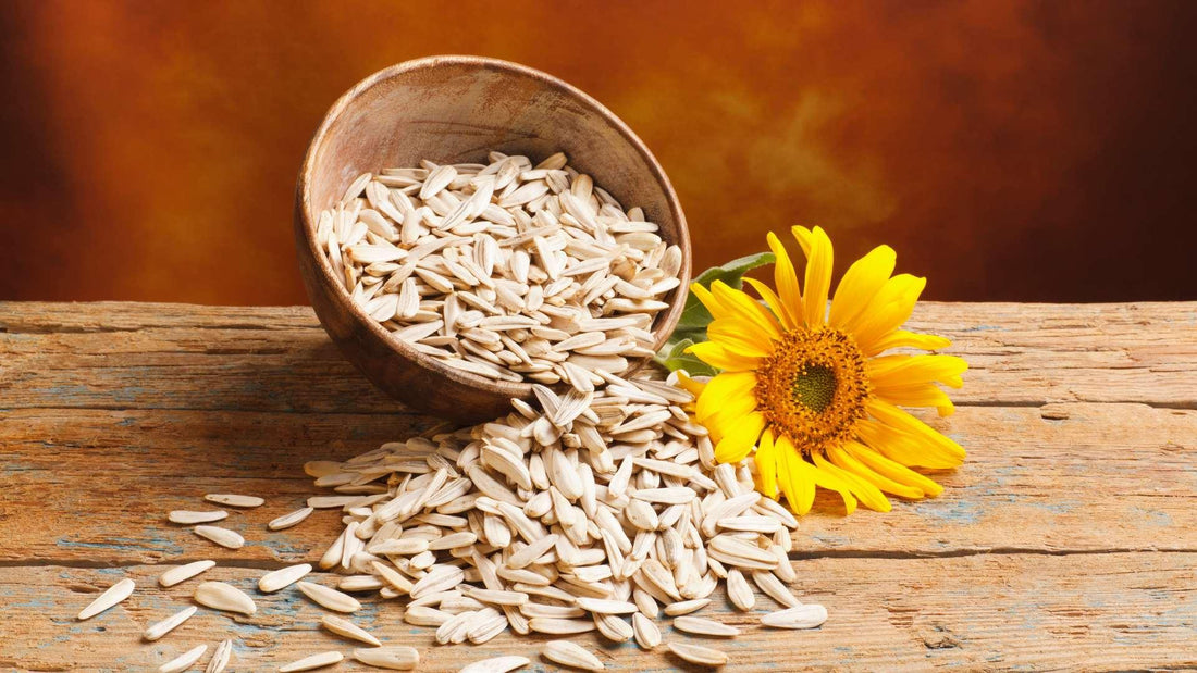 The nutritional benefits of sunflower seeds - Sindhi Dry Fruits