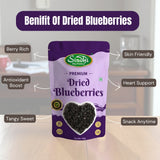 Blueberries Dried 100g
