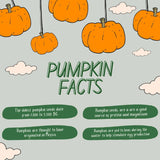 Pumpkin Seeds, Raw & Natural, 250g