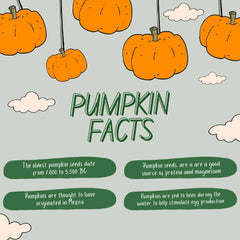 Pumpkin Seeds, Raw & Natural, 250g