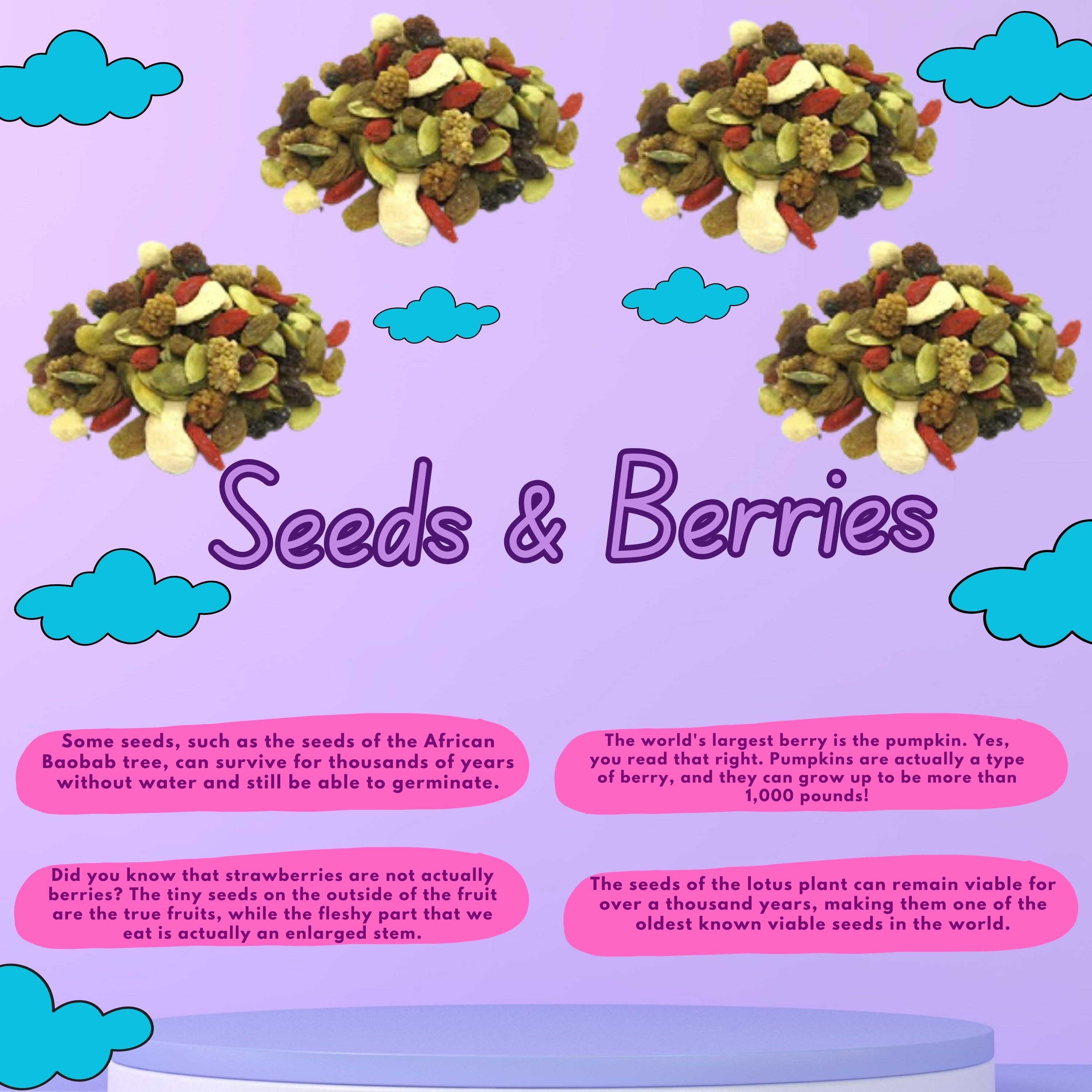 Premium Mix Seeds & Berries 250g