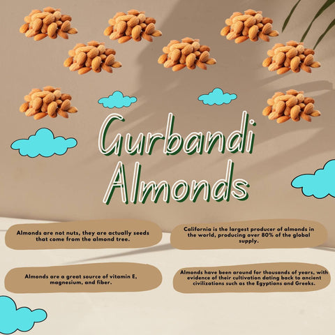 Badam Gurbandi