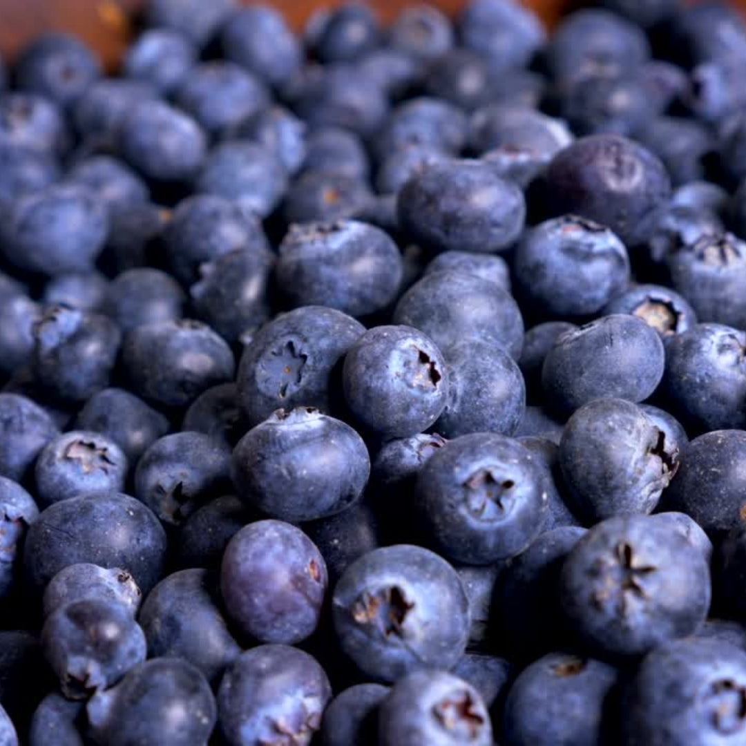Blueberries Dried 100g