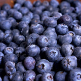 Blueberries Dried 100g