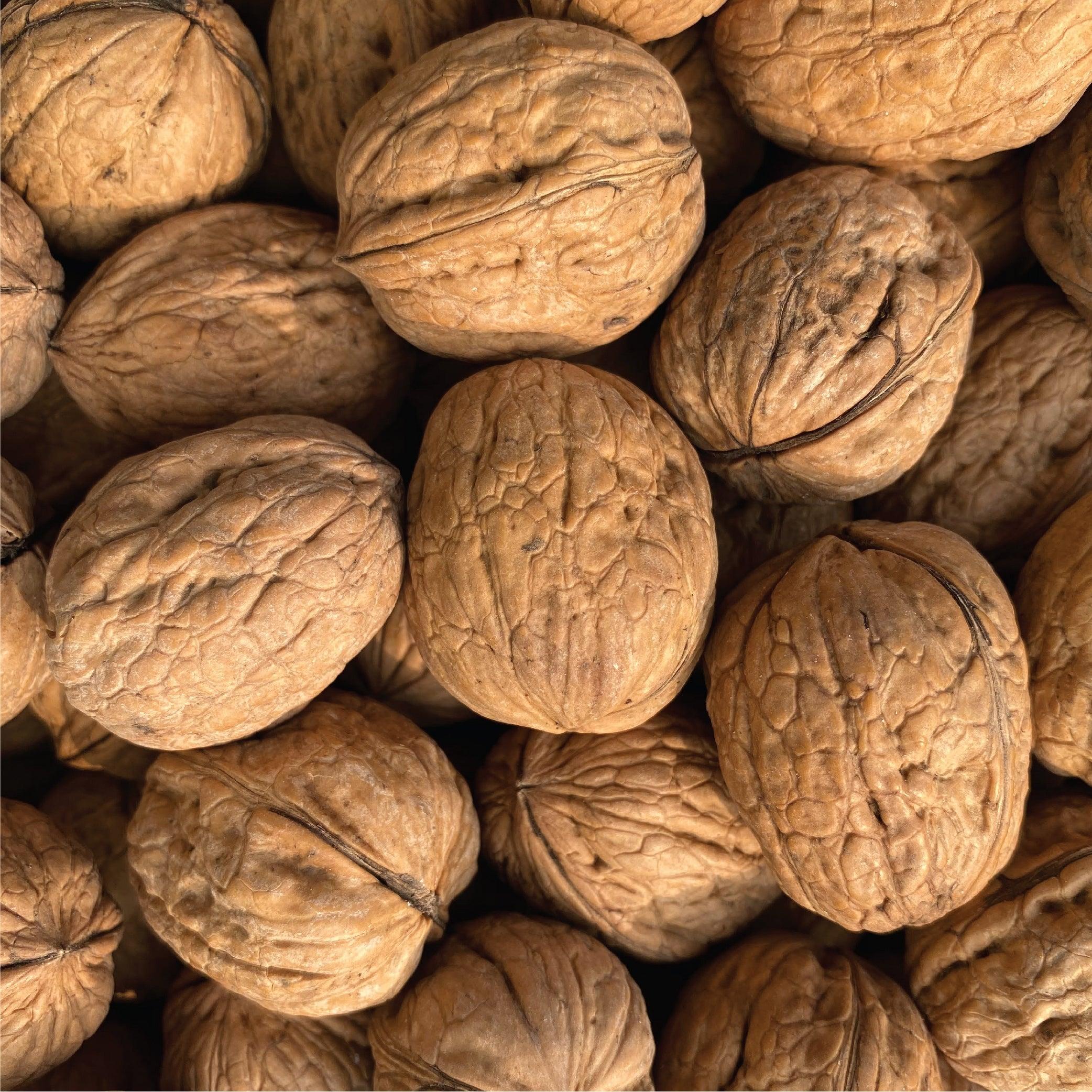 Walnuts Whole, Akhrot Saboot, Premium Pack