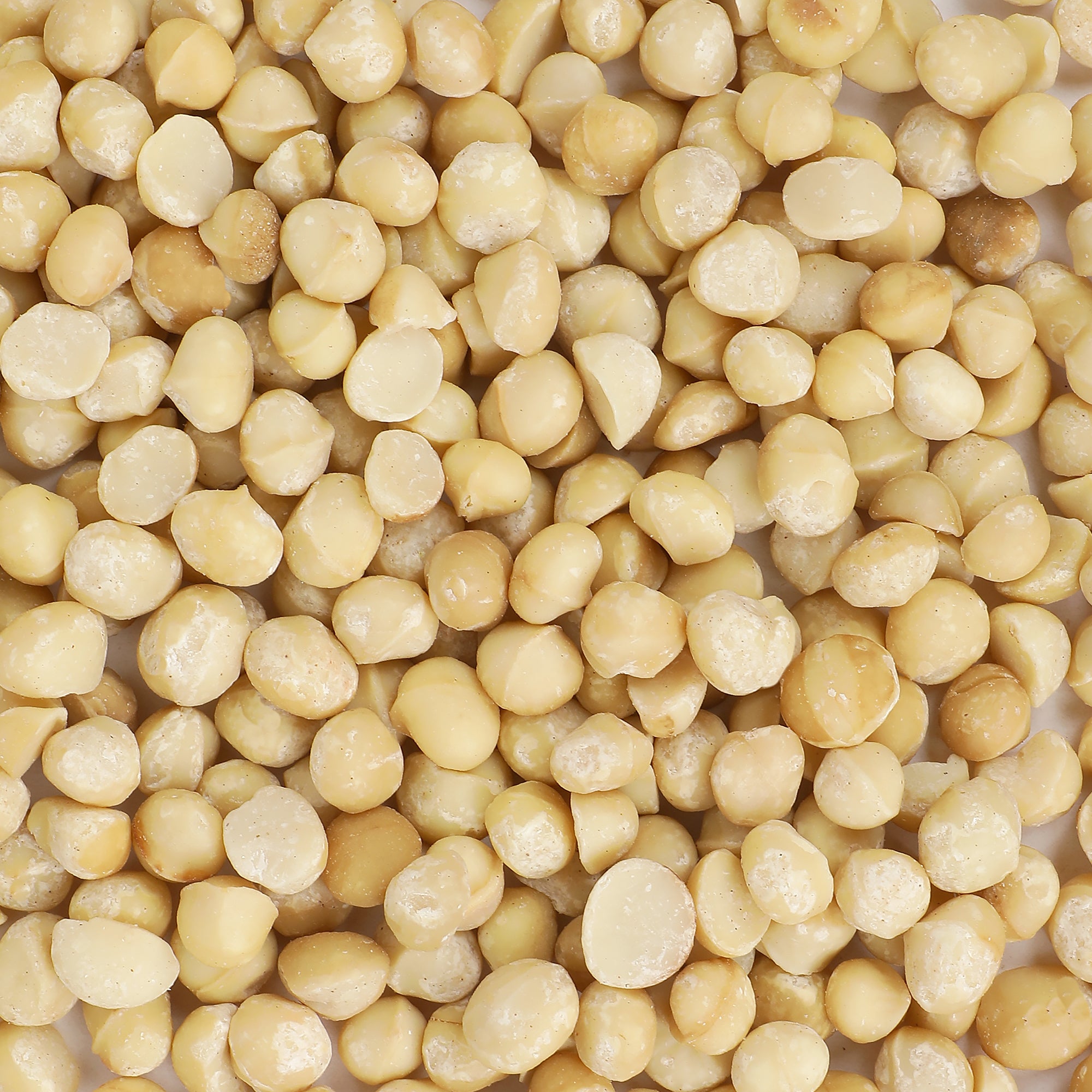 Macadamia Nuts