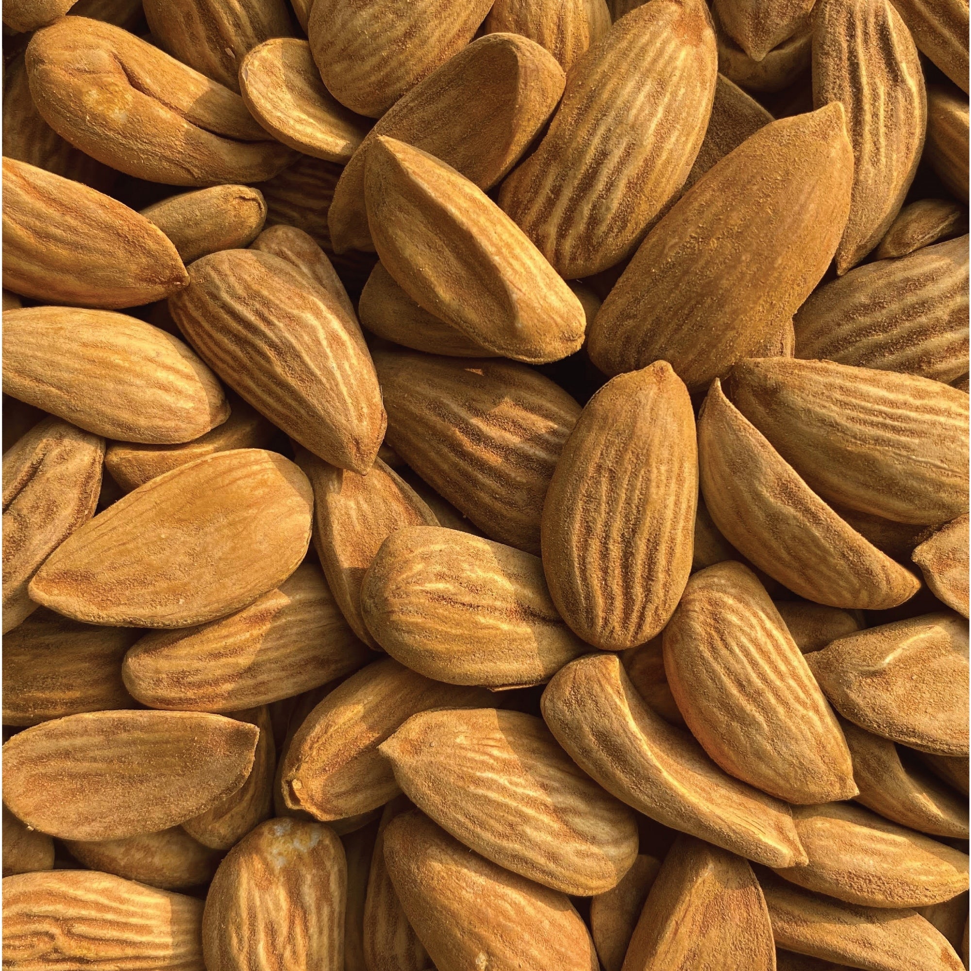 Premium Jumbo Mamra Badam – Extra Large Iranian Almonds, Crunchy & Vitamin E Rich