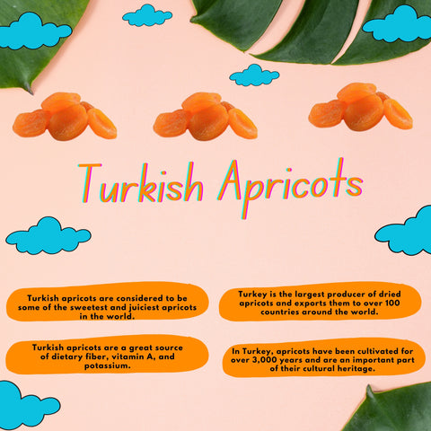 Turkish Apricots, Premium Pack 200g