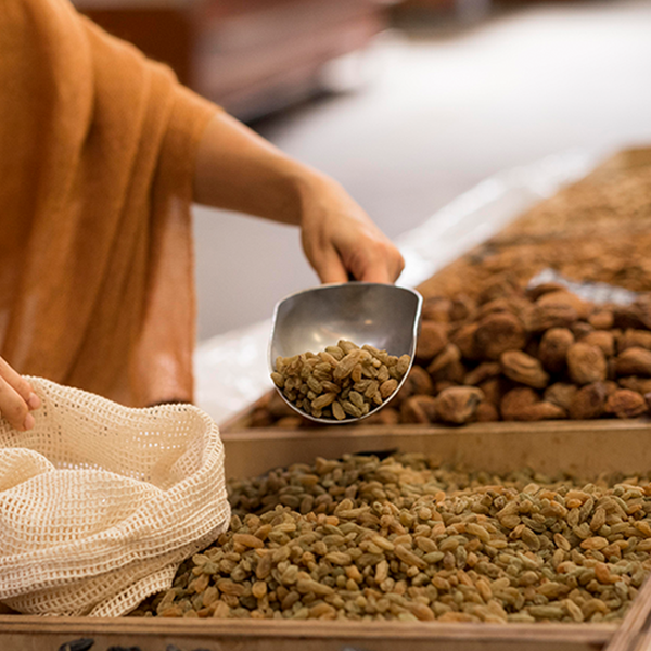Premium Handpicked Selection