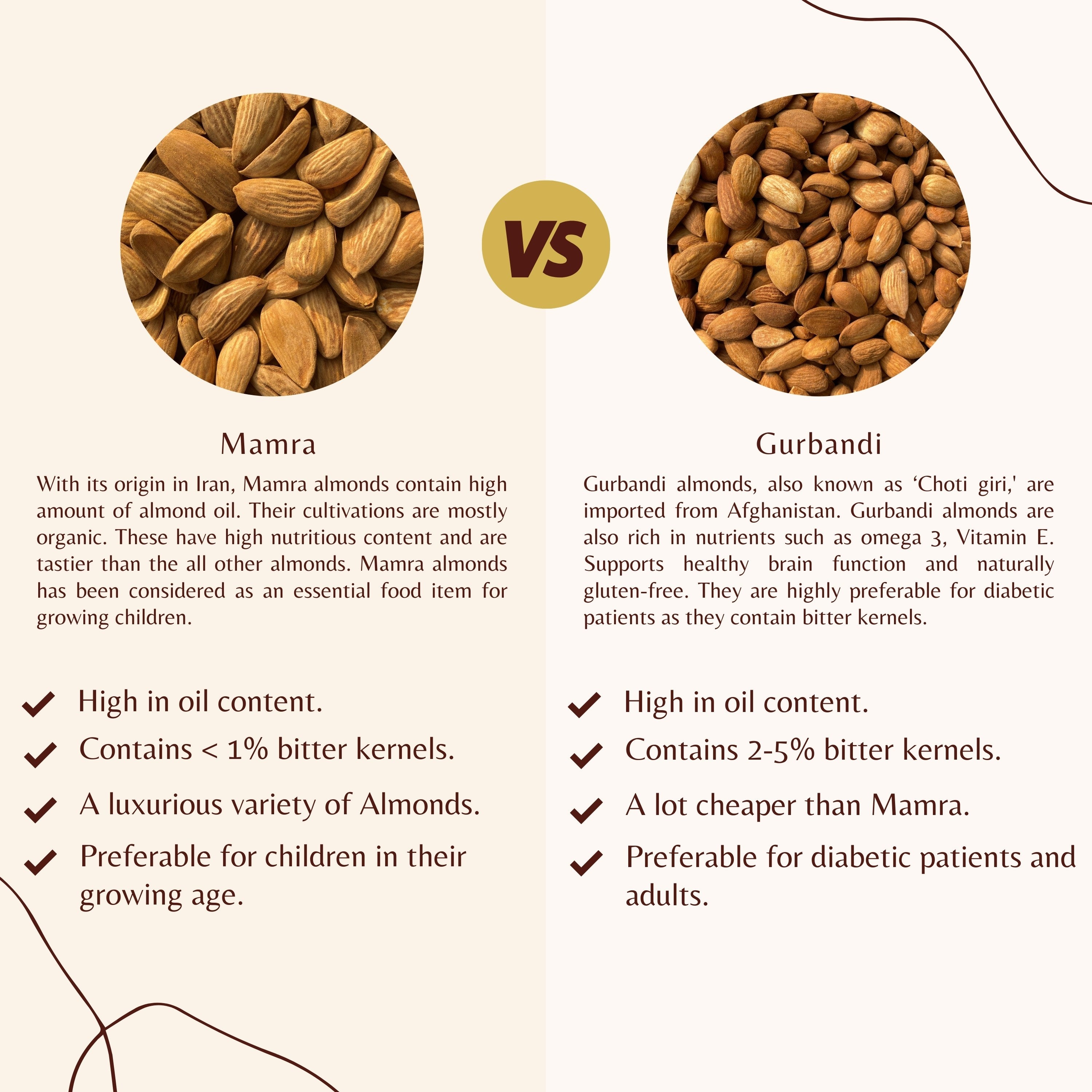 Comparison chart between Mamra and Gurbandi almonds with images and text.