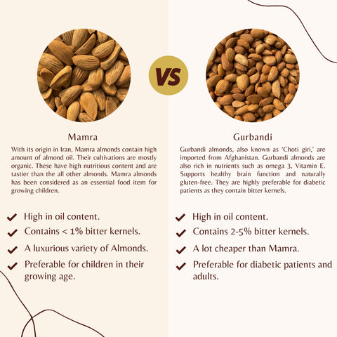 Comparison chart between Mamra and Gurbandi almonds with images and text.