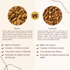 Comparison chart between Mamra and Gurbandi almonds with images and text.