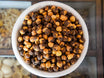 Chana Chilka Roasted