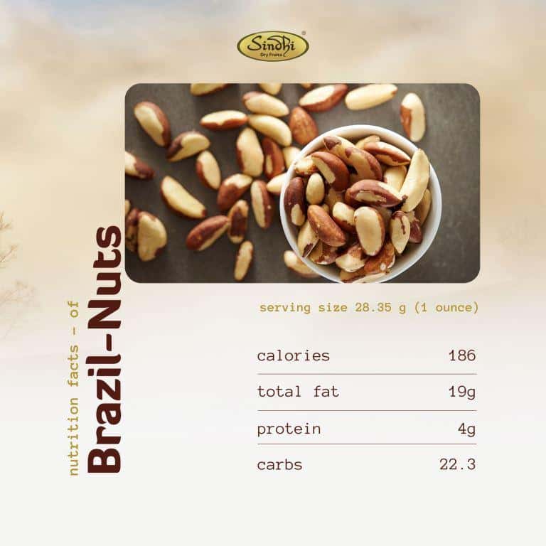 Get Your Brazil Nuts Fix from Sindhi Dry Fruits