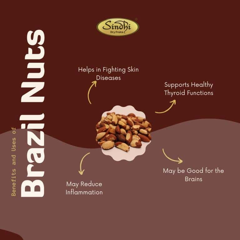 Delicious Brazil Nuts from Sindhi Dry Fruits