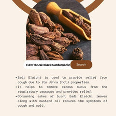 Buy dry fruits online: Elachi Moti from Central Market, Lajpat Nagar