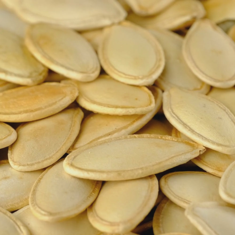 Magaz Tarbuz, Watermelon Seeds