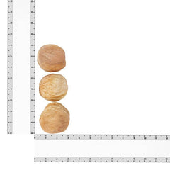 Authentic Sindhi Dry Fruits - Shop Khus Khurmani Online