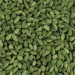 Buy Elachi Online - Sindhi Dry Fruits