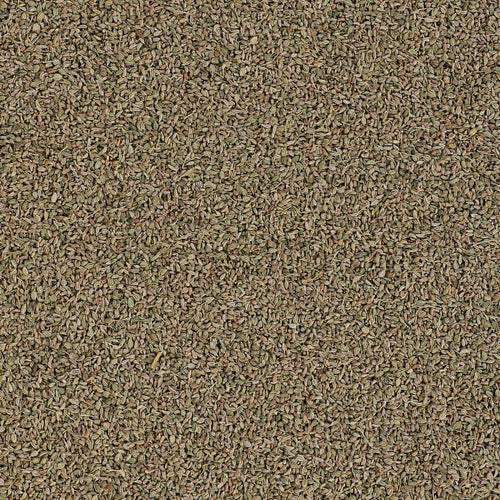 Shop for Ajwain (Carom Seeds) at Sindhi Dry Fruits Online