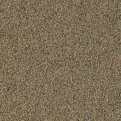 Shop for Ajwain (Carom Seeds) at Sindhi Dry Fruits Online
