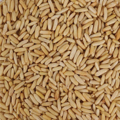 Premium quality Chilgoja Giri - Order dry fruits online