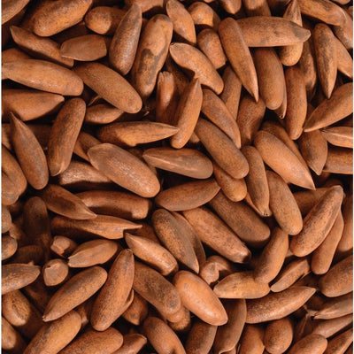 Premium quality Chilgoja Sabut - Buy dry fruits online