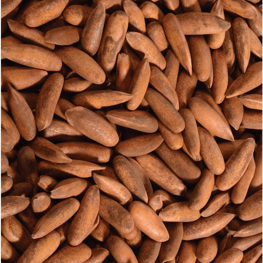 Premium quality Chilgoja Sabut - Buy dry fruits online 834