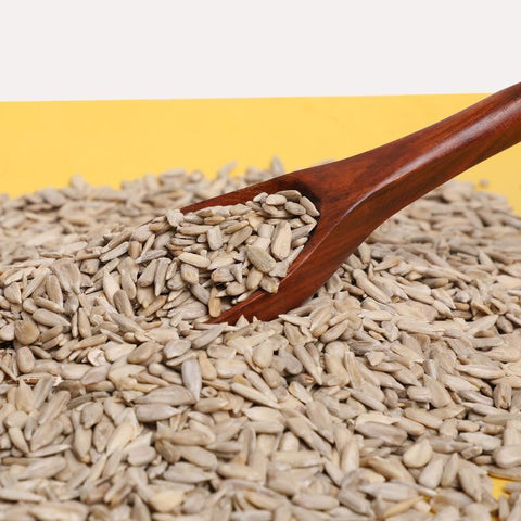 Premium quality sunflower seeds for sale online.