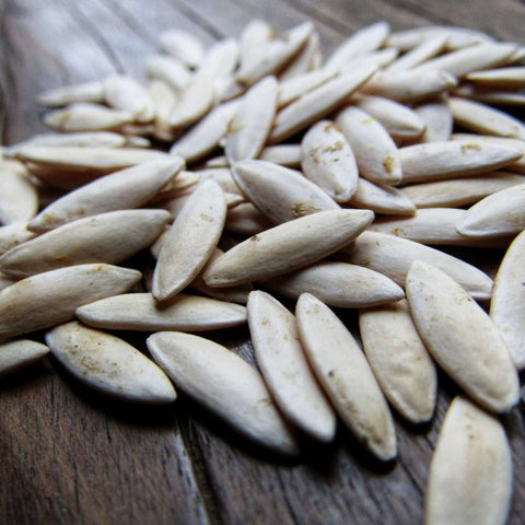 Buy Dry Cucumber Seeds from Sindhi Dry Fruits