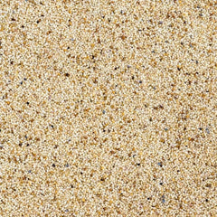 Khus Khus from Central Market, Lajpat Nagar - Sindhi Dry Fruits