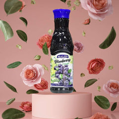 Premium Quality Blueberry Crush with Dry Fruits