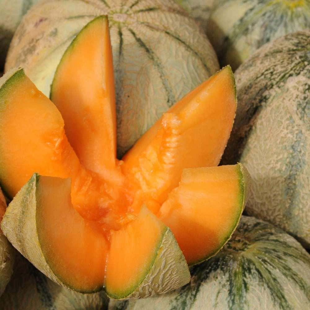 Crunchy Muskmelon Seeds - Sindhi Dry Fruits