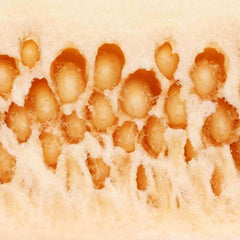 Fresh Muskmelon Seeds from Central Market, Lajpat Nagar, New Delhi